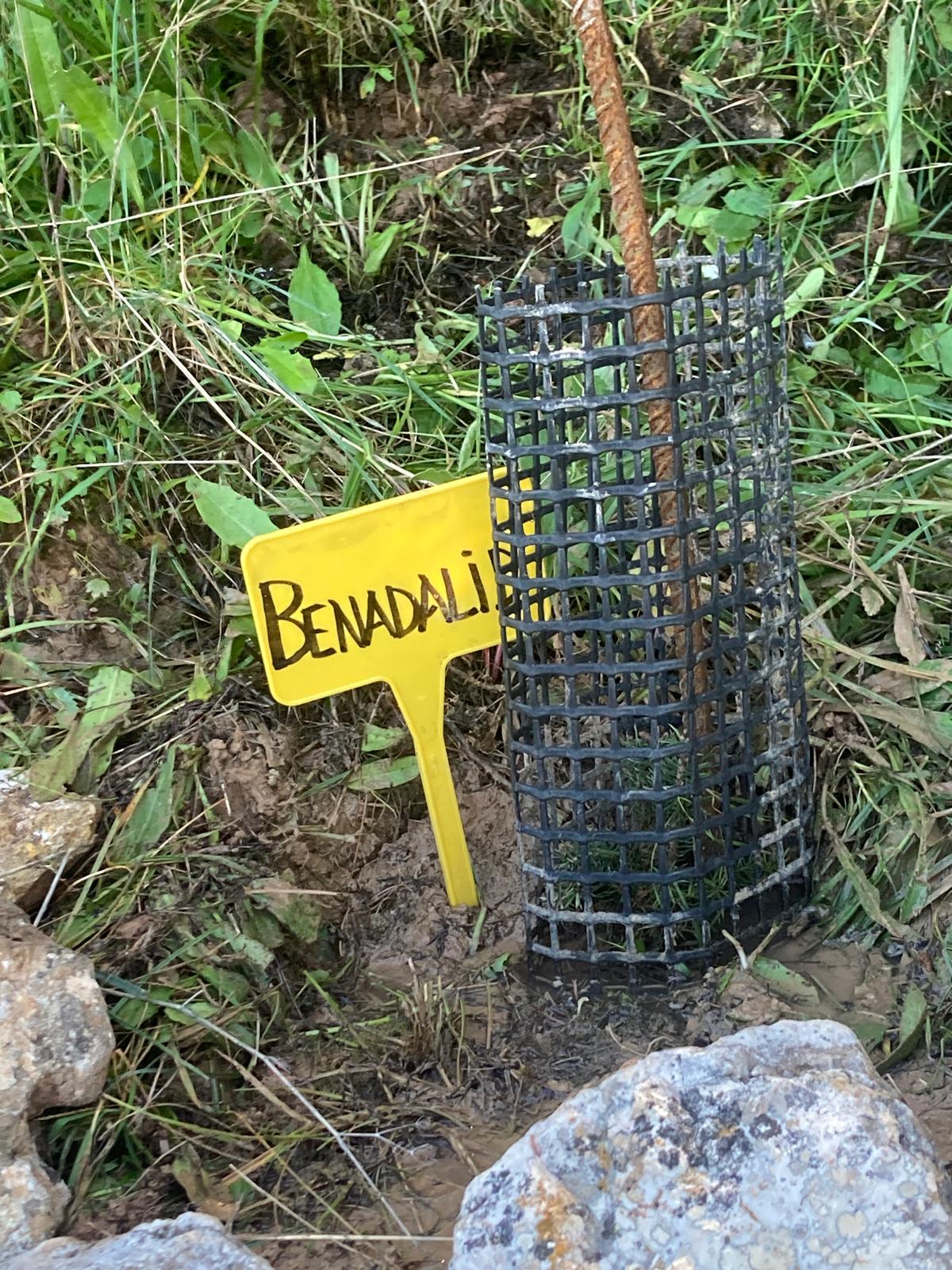 otrasmiradas_20251211_1