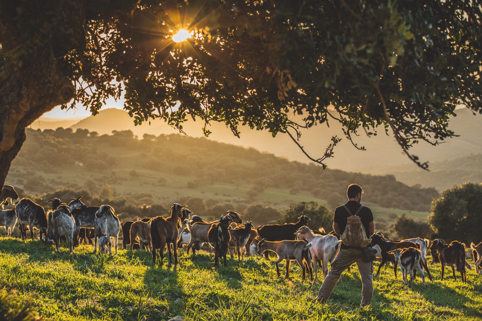 otrasmiradas_20260409